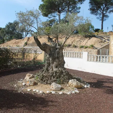 Prázdninový dům Claudia Lloret de Mar